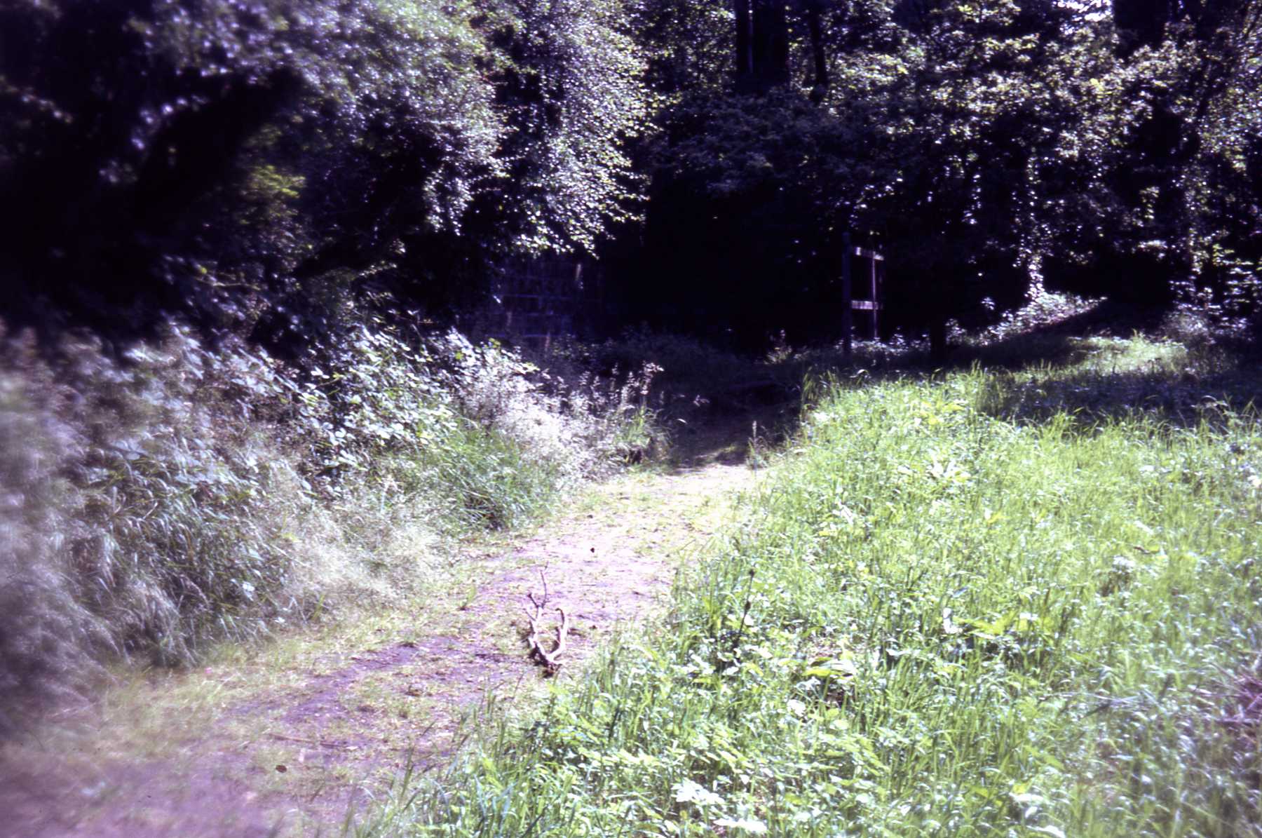 D10 012 Path from Synagogue well Castle Park (Jul 1968).jpg